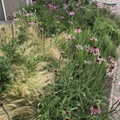 Showtuin Aartselaar overzicht zomer Showtuin rreac04 Publiek Aartselaar overzicht zomer